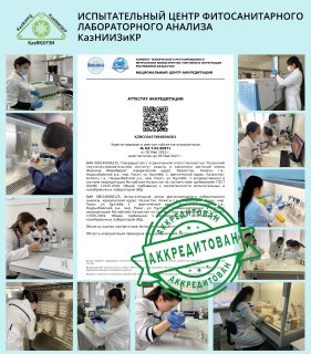 защита и карантин растений защита растений